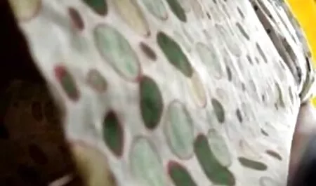 دو برنامه نویس سکس _18 نوجوان به طرز وحشیانه ای دمار از روزگارمان درآورد بزرگ در بند و تقدیر وحشیانه