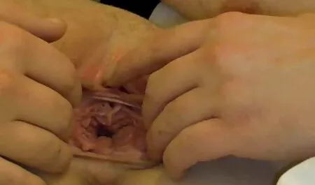 دفتر فیلم سکسی 18ساله همکاران تبدیل شدن به دفتر لزبین